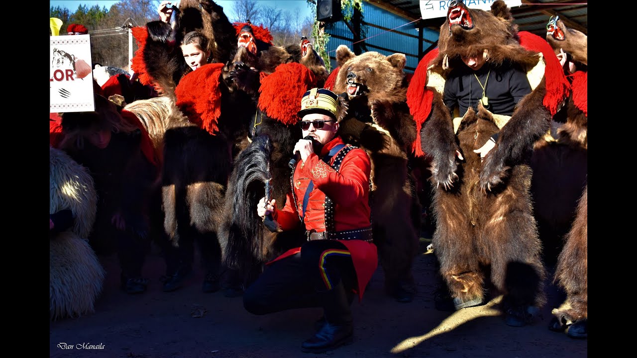 Ursul lui Andrei de la Solonț