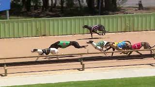 HVL SUN 11 FEB 24 R7