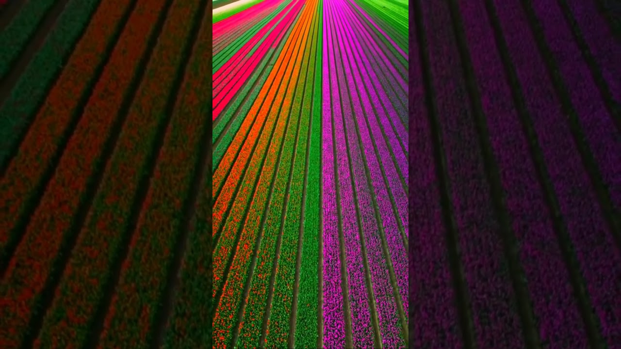 Places that are unreal 😱| Places that don't feel real#unrealplaces#shorts#travel#explorepage #v