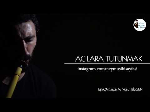 Acılara Tutunmak - Ahmet KAYA