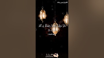 تلاوة عطرة من سورة الأنبياء بصوت القارئ يحيى رشاد من صلاة التهجد#قرآن #قرآن_كريم #قران #trending