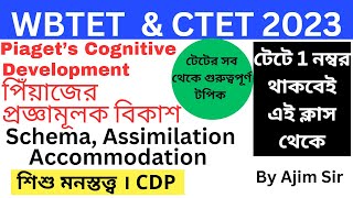 Piaget's Cognitive Development, Schema, Assimilation, Accommodation | পিঁয়াজে | CDP | WBTET | CTET