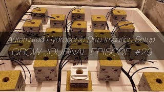 Automated Hydroponic Drip Irrigation Setup - Grow Journal E29