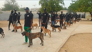 Bercy Saloum; les derniers réglages d'un événement de superstar au Sénégal