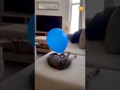 ما تتوقعو يلي صار  اعتني  اهميه  المراه  شلتنا  النظافه