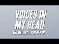 Anyma Argy Son Of Son Voices In My Head Lyrics