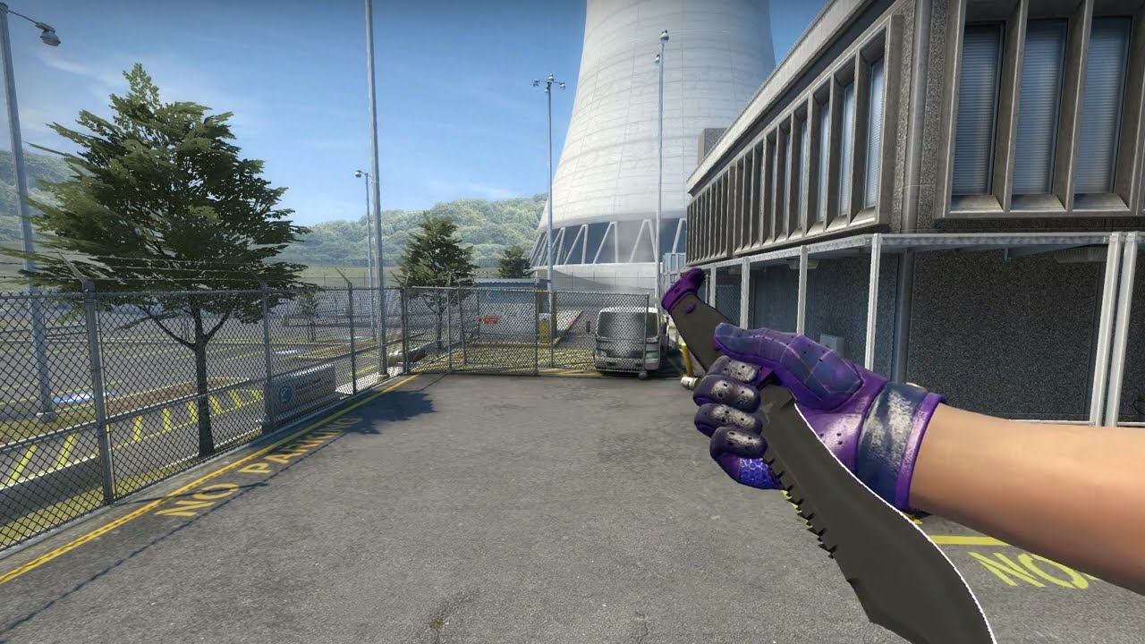 CSGO BOWIE KNIFE ULTRAVIOLET FACTORY NEW + DRIVER GLOVES IMPERIAL