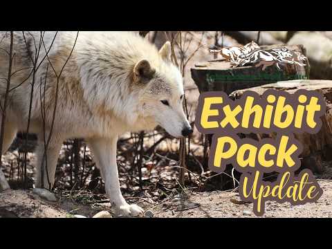 Exhibit Pack Update - 8 May 2026