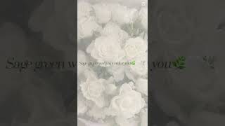 Sage green wallpapers for you
