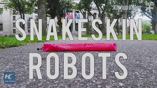 Who needs legs? Watch a soft robot crawls like a snake!