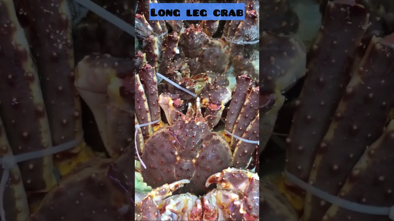 Long leg crab 