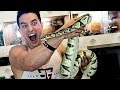 MA PIRE PHOBIE !! (SERPENT GÉANT)