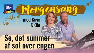 Se Det Summer Af Sol Over Engen Morgensang