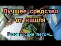 СИРОП ПОДОРОЖНИКА на зиму. Домашний РЕЦЕПТ. Лучшее средство от кашля.