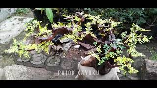 KREASI UNIK Part 2 | #shorts #kreasiunik