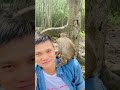 The Most Interesting Monkey Reactions I've Seen #animals #countrylife #monkey #cozyliving #funny