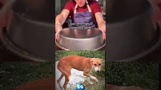 Food fail asmr #funny #comedy #youtubeshorts #shorts #fyp