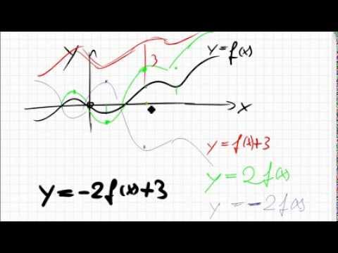 Video: Er funktionen af midterribben?