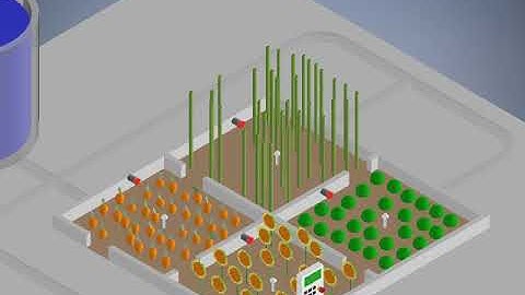 Funcionamiento de invernadero automatizado