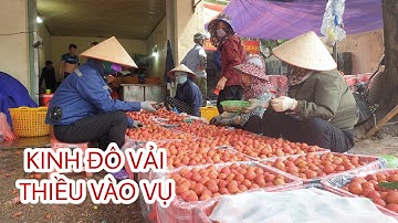 Nhộn nhịp chợ vải thiều lục ngạn bắc giang