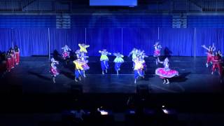 VISA 2015: UF ISA - 2nd Place!