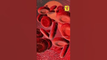 Colorimeter #colorimeter #colorimeterdigital #hbtesting