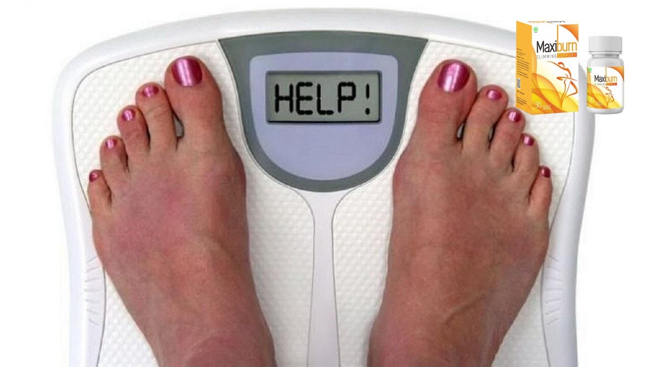 Maxiburn Harganya Berapa