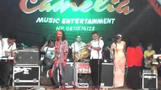 CAMELIA - FATAMORGANA