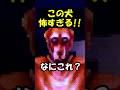犬のお世話するホラーゲームが怖すぎる！！ #shorts #ゲーム #ゲーム実況 #minecraft