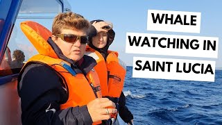 Whale watching in South Africa and wise words from Dr Deborah Robertson-Andersson - Saint Lucia by Conservation Chat UK 224 views 10 months ago 10 minutes, 3 seconds
