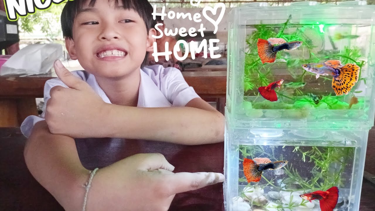 น้องคาโต้ | ตู้ปลาจิ๋ว คอนโดตู้ปลา