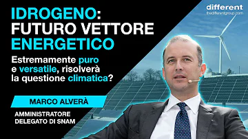 Qual è il vettore energetico attualmente più importante?