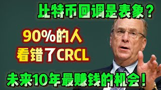 比特币回调只是幌子？华尔街正在偷偷重仓这个赛道（90%的人还没发现） #比特币 #稳定币 #Circle #加密货币 #美股投资 #BTC #USDC #区块链