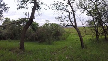 ENTRE AS ARVORES FAIL SAFE E ESC COM PROBLEMA