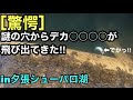 [穴釣り]謎の穴にマグロを落としたら、デカ○○○○が‼︎