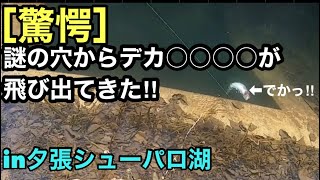 [穴釣り]謎の穴にマグロを落としたら、デカ○○○○が‼︎