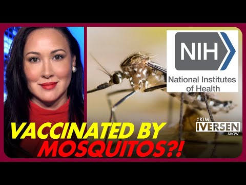 NIH Successfully Vaccinated People Using...Mosquitos?