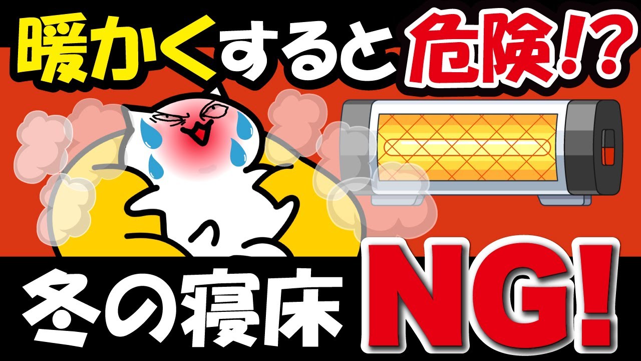 猫の寝床、実は“暖めすぎ”が危険です【冬の盲点】