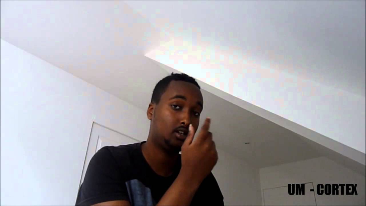 UM -  CORTEX