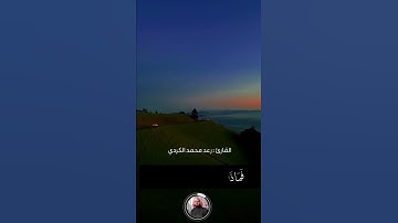 القارئ رعد محمد الكردي/حالات واتس اب دينيه/تلاوة جميلة 🤍/رعد محمد الكردي حالات واتس قران/راحة نفسية💙