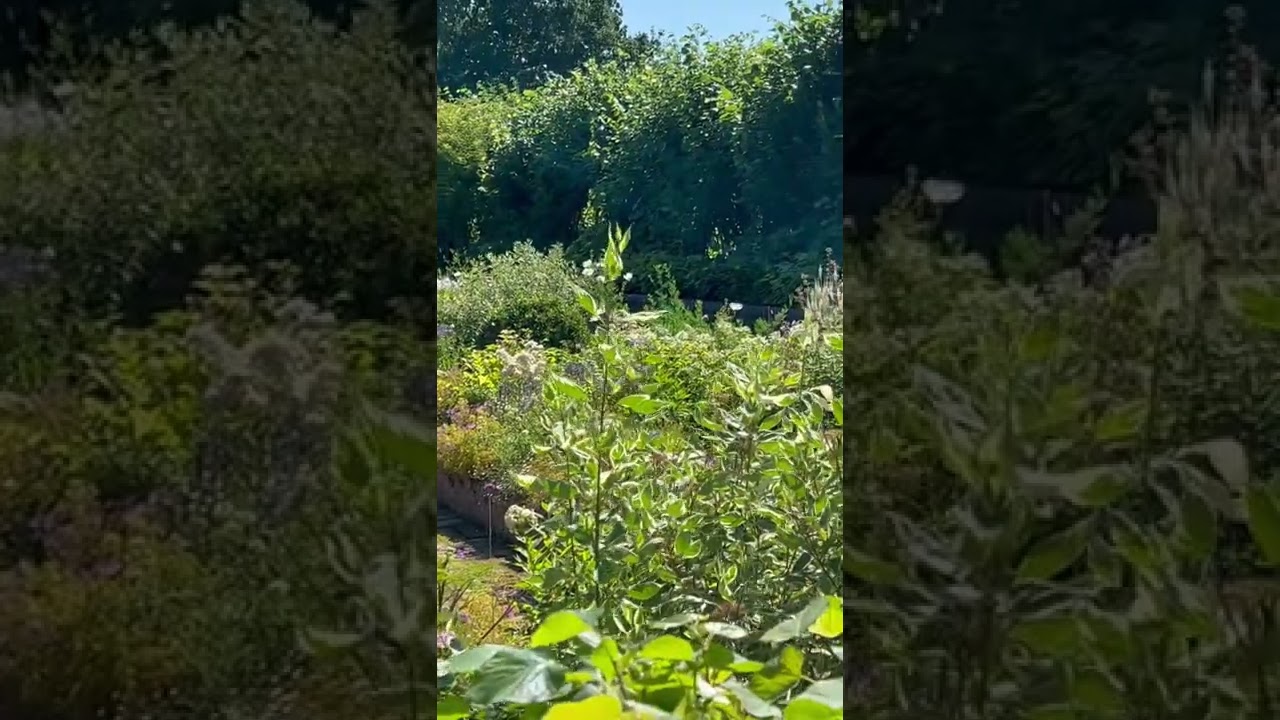 Kensington palace the new Garden with Diana statue