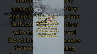 Separating Siblings At School