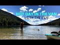 Hot Day In The Van With The Dog | Van Dwelling On The Road