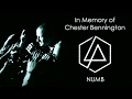 Numb [Vocal Cover] Chester Bennington Tribute (HD)