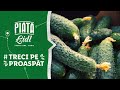 Producatorul bioprod colibasi   piata lidl