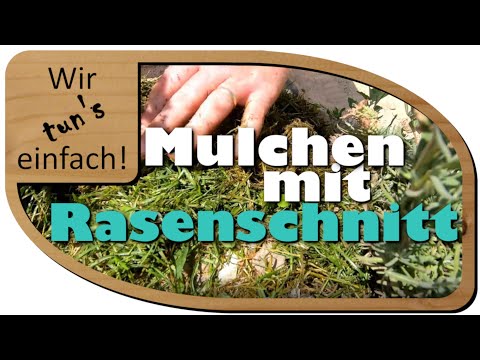 Video: Mulchen mit geschnittenem Gras - uns und den Beeten helfen