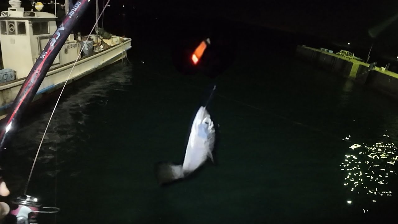 アジの浮きサビキ釣り。コマセカゴ無し。