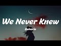 Beharie - We Never Knew (Lyrics)