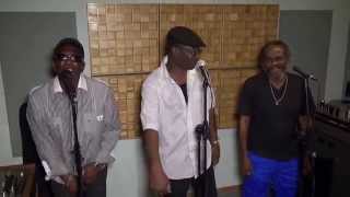 Video thumbnail of "The New Melodians - Sweet Sensation"