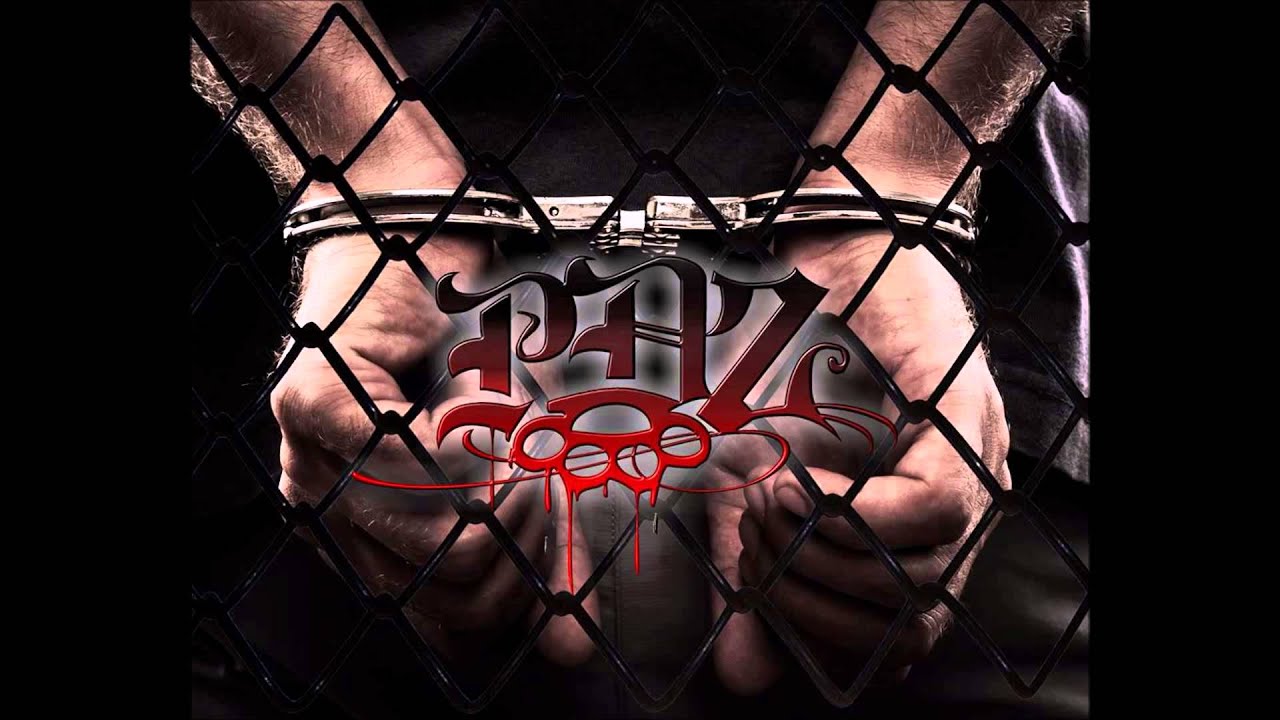 DEMENZ PDZ feat. SSP(Loniu&Ćwiara) - ULICA